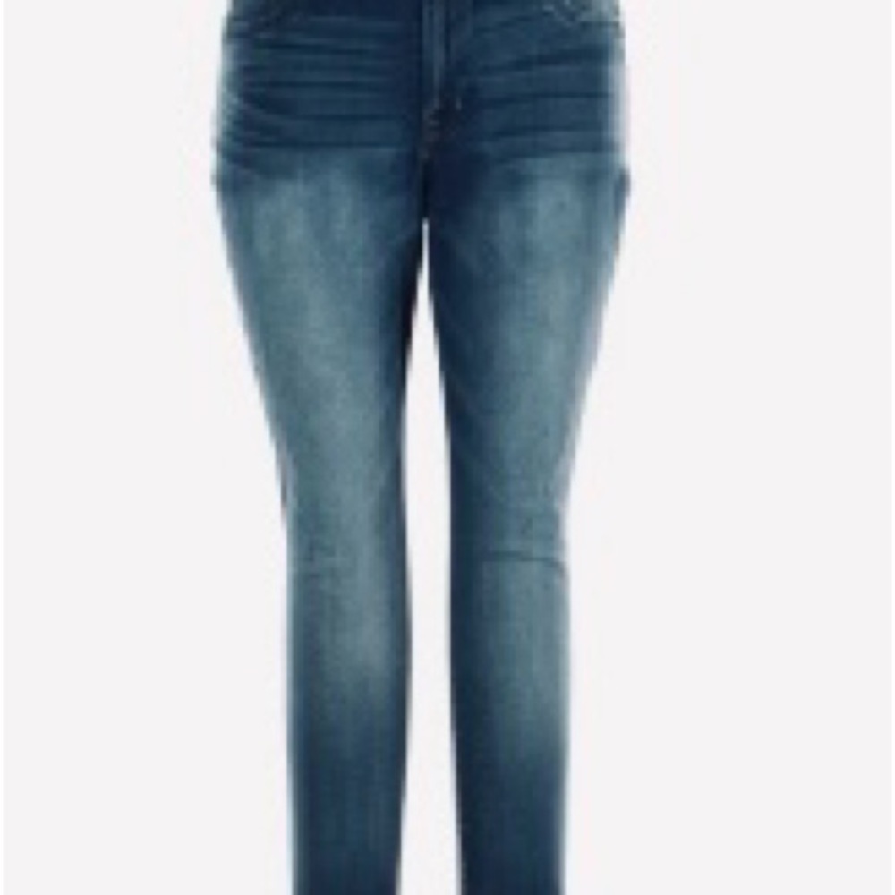 Refuge Blue Jeggins with Vintage Gradient